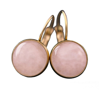 Rosen & Dornen Ohrringe - Detaillierte Legierung Ohrstecker Mit Religiösem Design